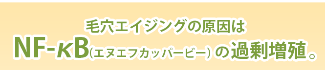 毛穴エイジングの原因は「NF-κBの過剰増殖」