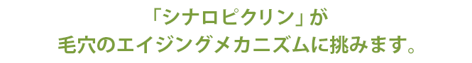 シナロピクリンが毛穴のエイジングメカニズムに挑みます。