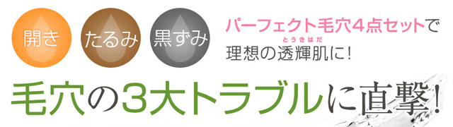 毛穴の開き 黒ずみ たるみのお得な化粧品セット販売 アンサージュ